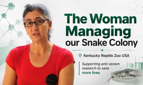 KENTUCKY REPTILE ZOO Kentucky